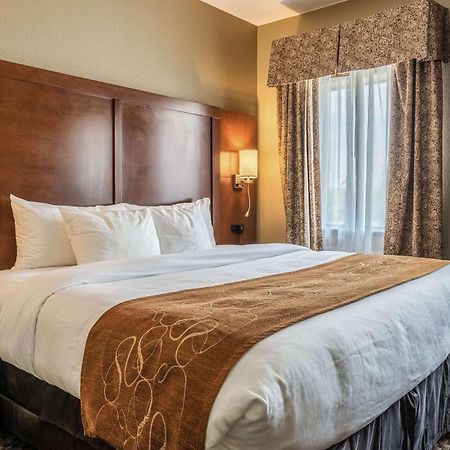 Comfort Suites Near Texas State University San Marcos Esterno foto