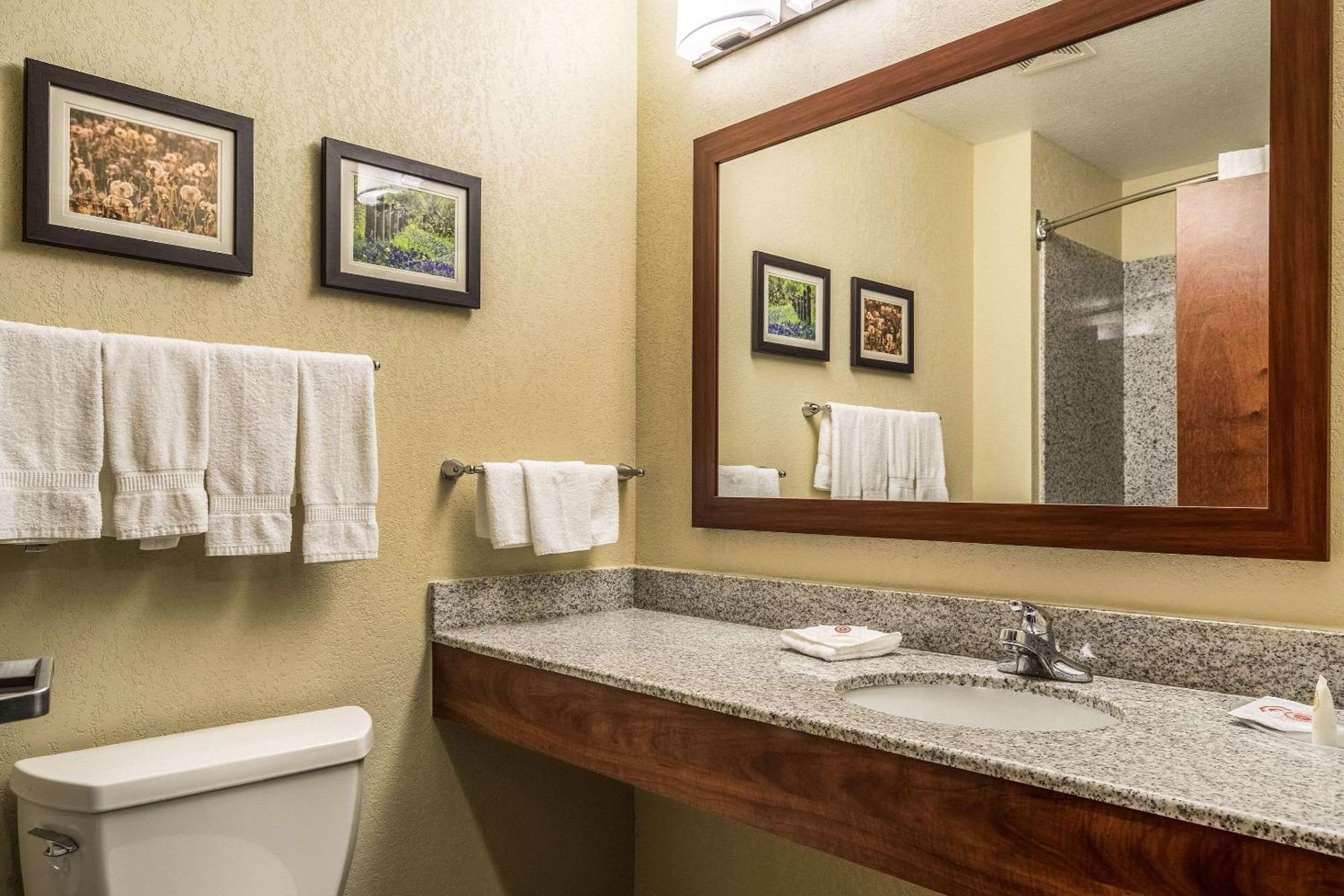 Comfort Suites Near Texas State University San Marcos Esterno foto